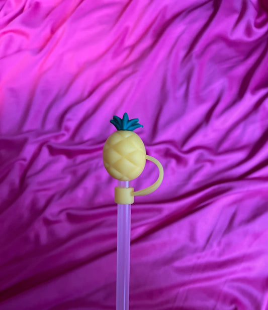 Pineapple- Straw Cover